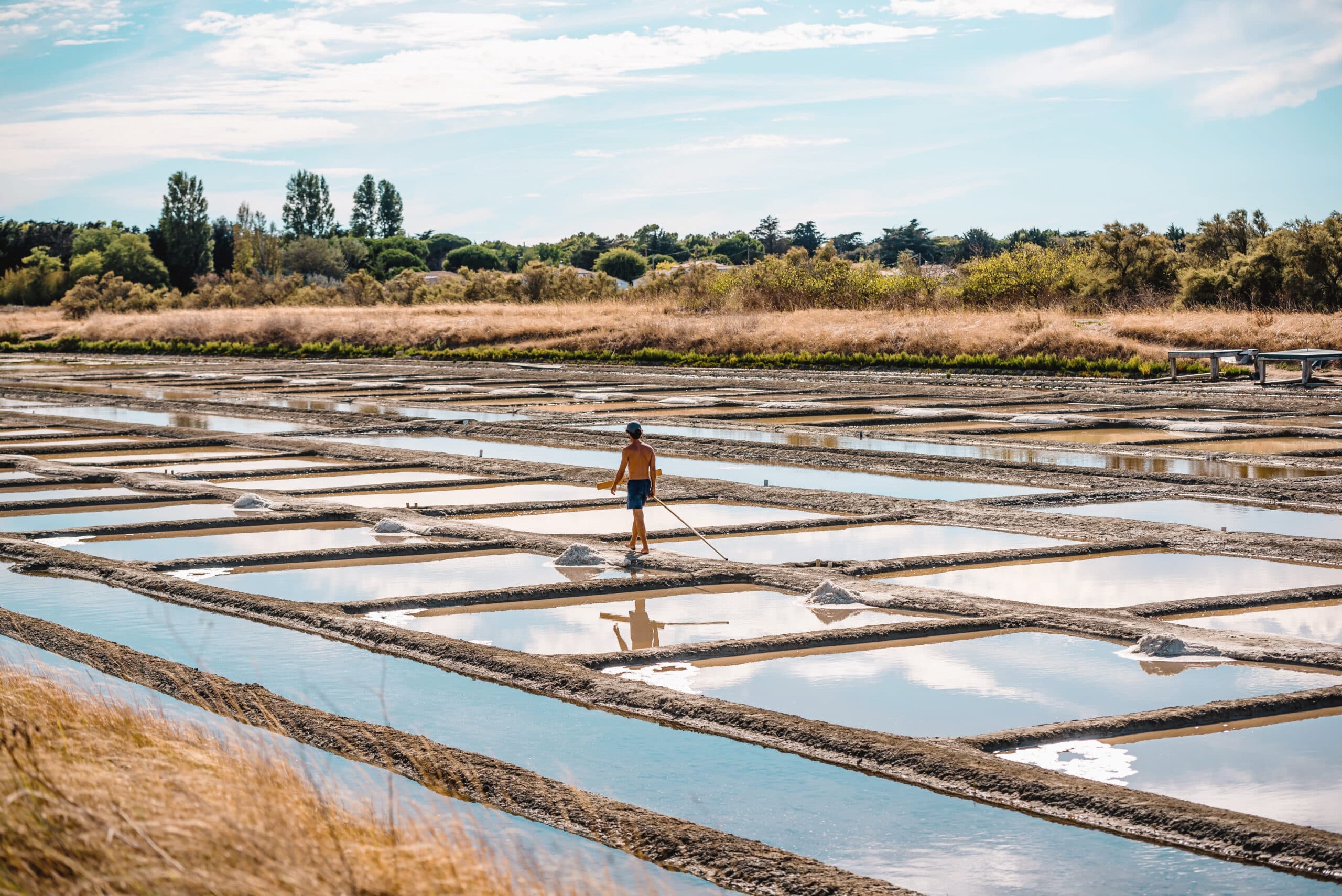 Marais salants sur l'ile de ré