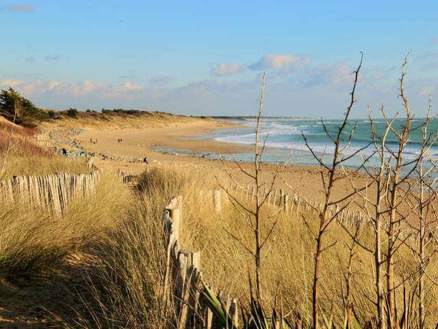 Plage sableuse bordée de dunes et océan, France.